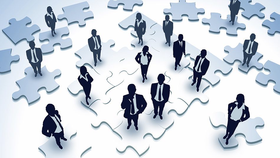 Organization and Associate